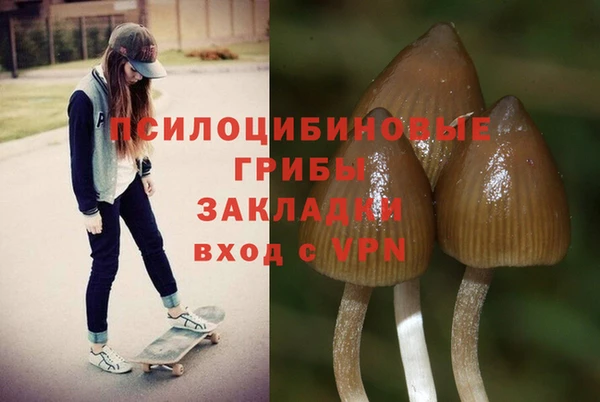 дмт Балабаново